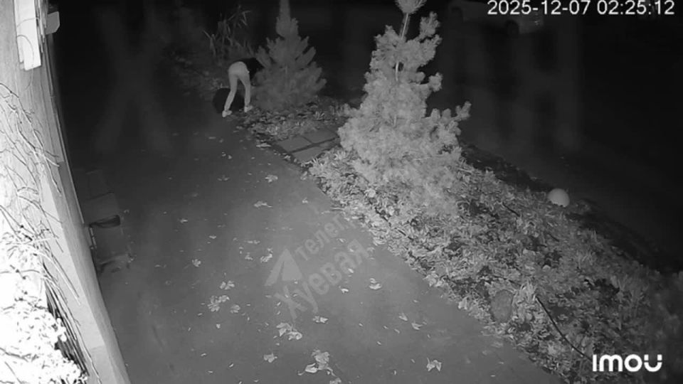 � ������ ������ �������� ����