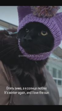 � ������ ������� ����������� � ����