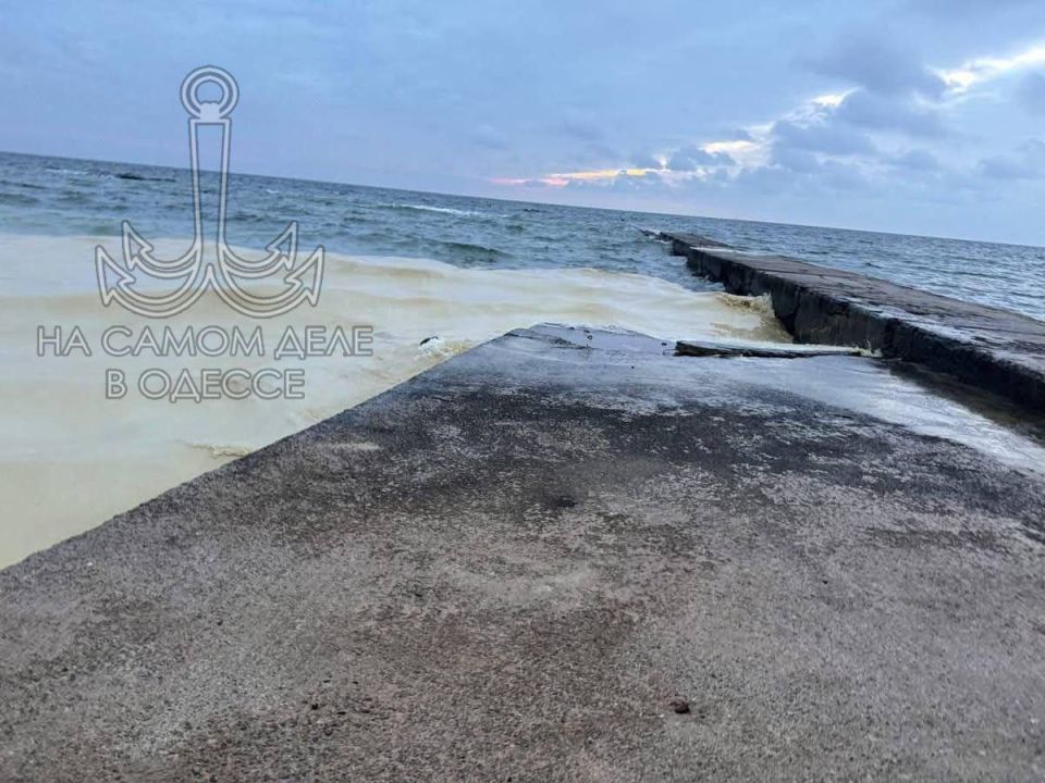 В море произошла утечка подсолнечного масла В море произошла утечка подсолнечного масла