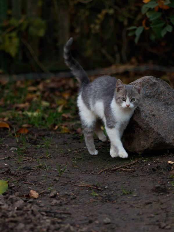 �������� ����� ������� � ���� �������� �����!