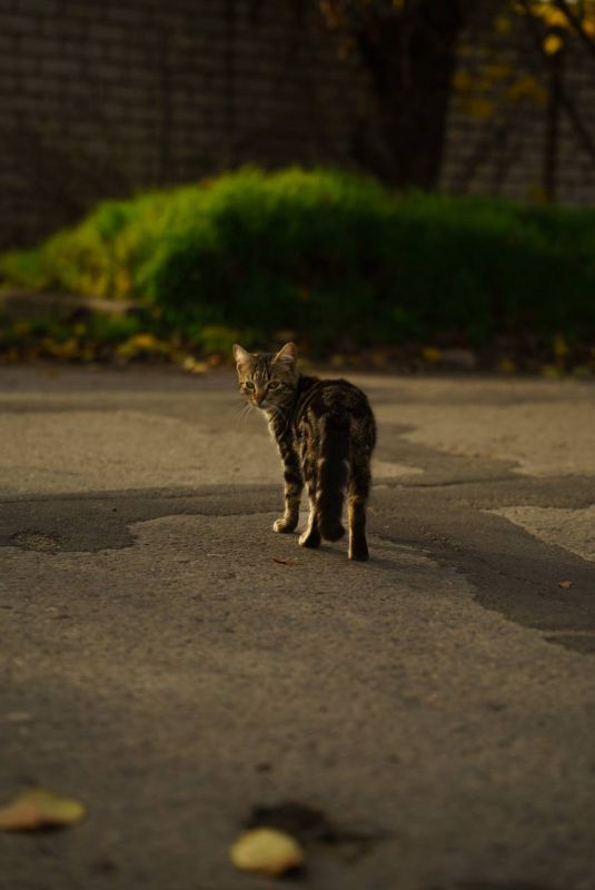 �������� ����� ������� � ���� �������� �����!