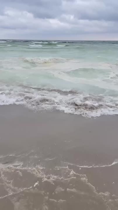 Загрязнения дошли уже до пляжей до Одесской области