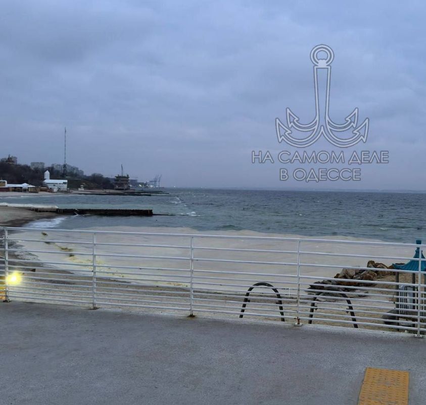 В море произошла утечка подсолнечного масла В море произошла утечка подсолнечного масла