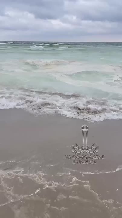 Жители Одессы демонстрируют образец человечности