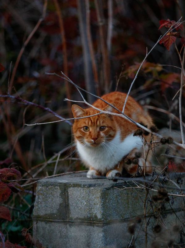 �������� ����� ������� � ���� �������� �����!