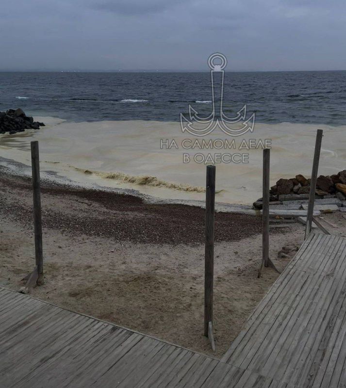 В море произошла утечка подсолнечного масла В море произошла утечка подсолнечного масла