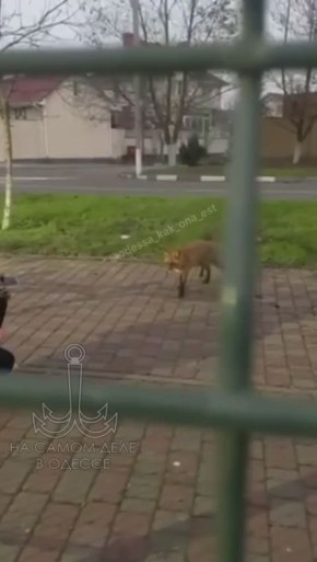 ���� � ������: �� ������, � ����