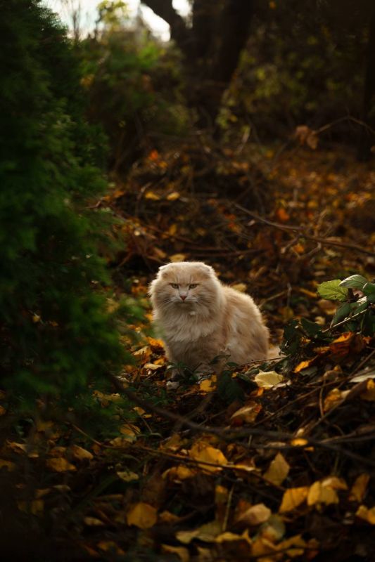 �������� ����� ������� � ���� �������� �����!