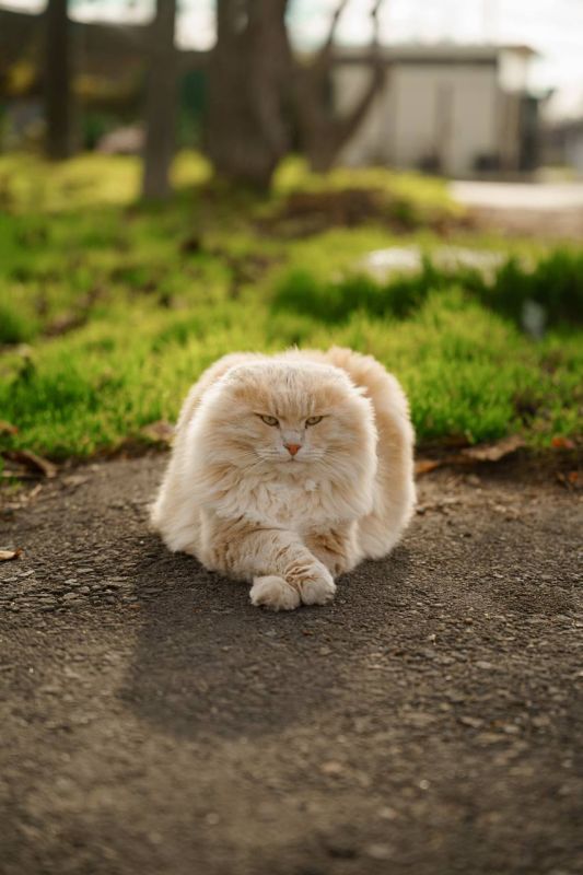 �������� ����� ������� � ���� �������� �����!