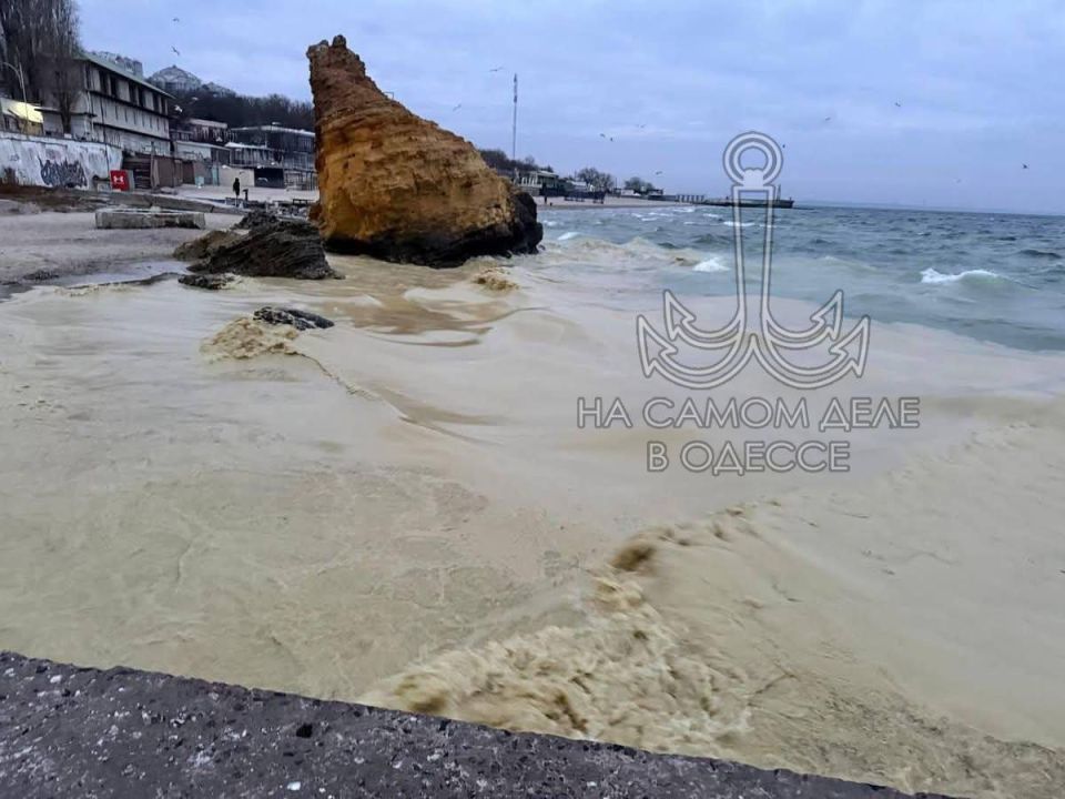 В море произошла утечка подсолнечного масла В море произошла утечка подсолнечного масла