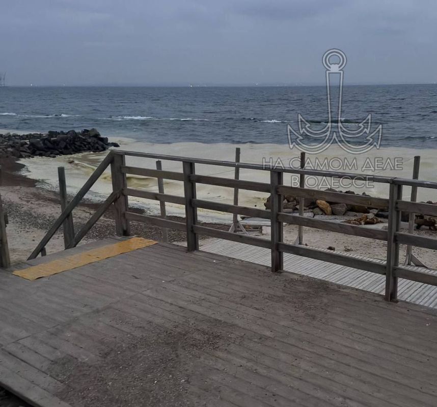 В море произошла утечка подсолнечного масла В море произошла утечка подсолнечного масла