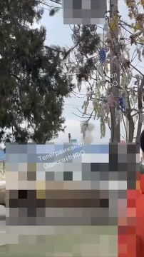 ���� � ������ �������� ������� ����� �������� ����������� ���