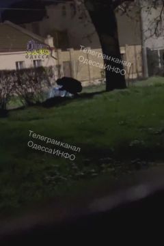 ��������� � ������ ���� � ������� �������� ��������