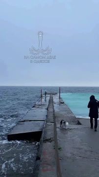 Таки да, Одесса-мама проснулась