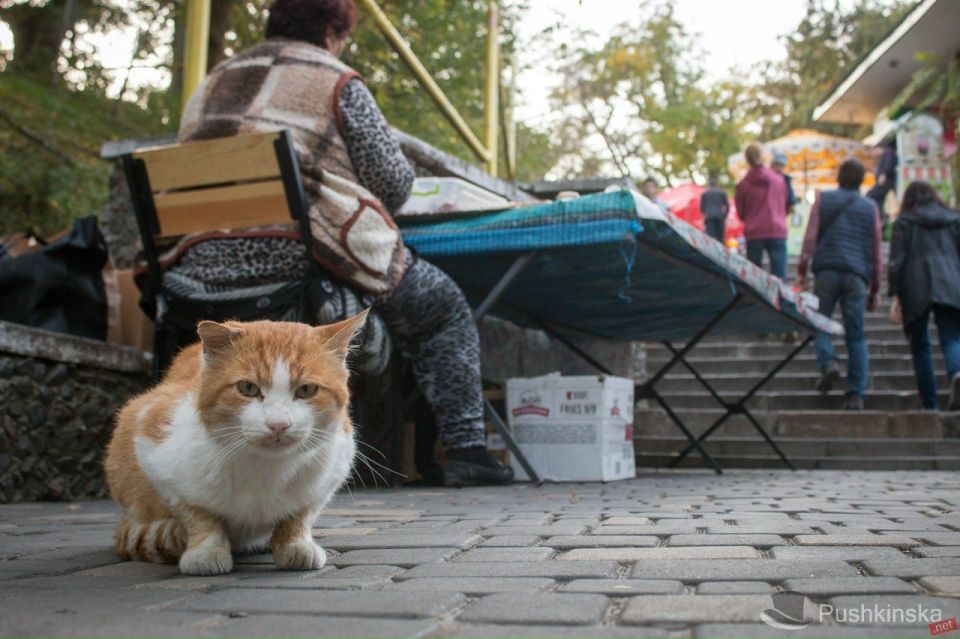 ������ ����, ������!. �����������: ����������� ����������� �������� -7 ��������, � ������� ��� ������ ���������� �� 0. ��������� ����� � ��������� �� -7 �� -14