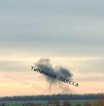 ���� ������ � ������ �������� �������