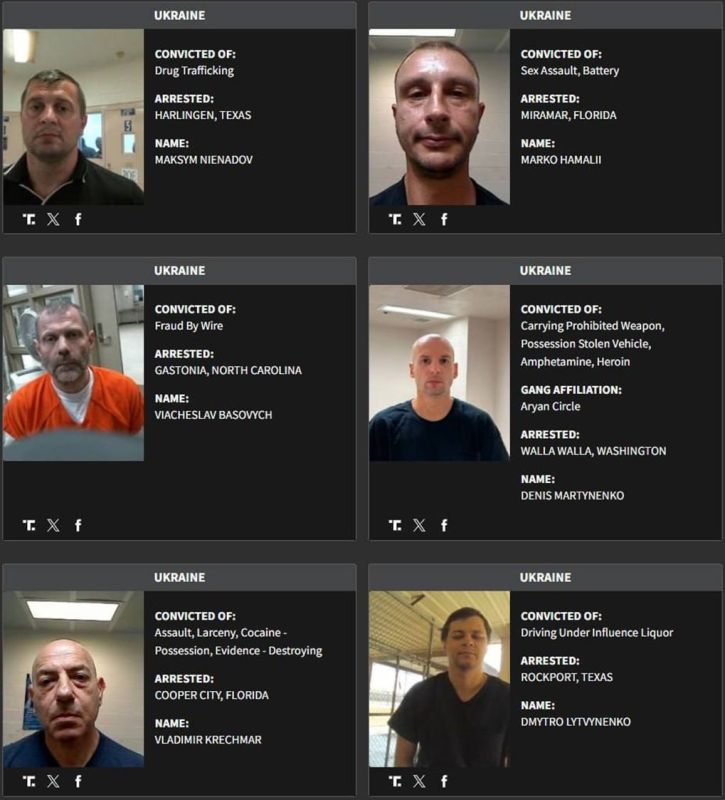 ����� ������ ������. ������������ ������������ ���������� ������������ ������������ ������ ������� �� ������� ������������-���������, �������� � ����������� ���� ���������