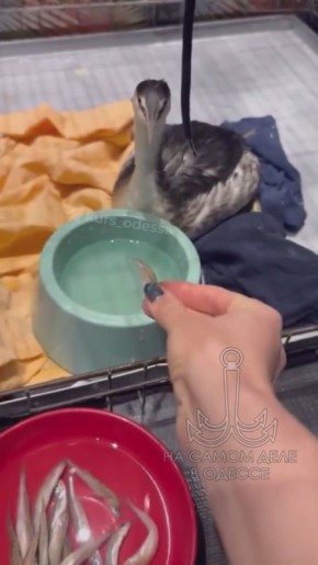 ������� ��������� ��������� ��������� ������������� � ��������� � ������ ���������, ������� �� ���� ��� �������� ���������� �������������� ��� ��� � ��������