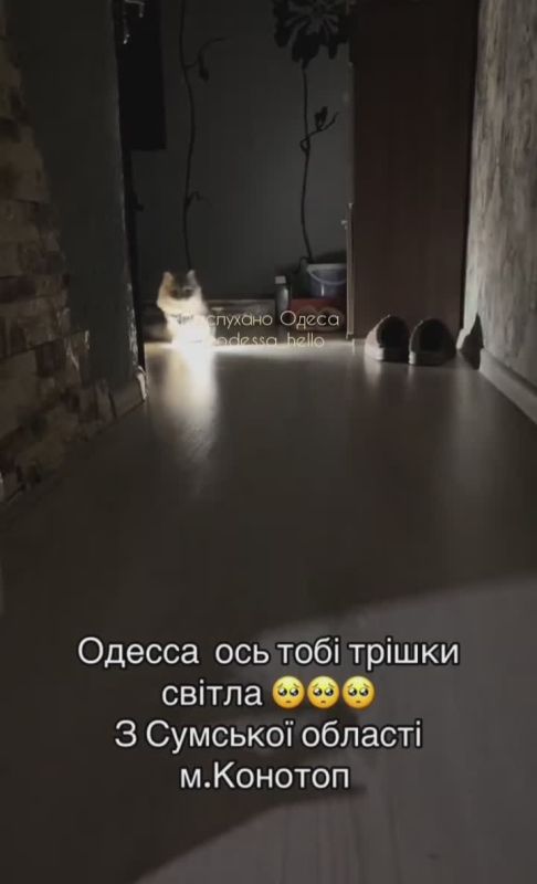 ����� �� �������� ������� ������� ����� ��� ������