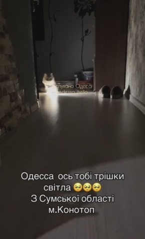 ����� �� �������� ������� ������� ����� ��� ������