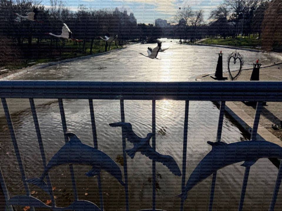 � ����� ������ ���� �������� �����