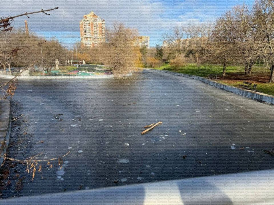 � ����� ������ ���� �������� �����