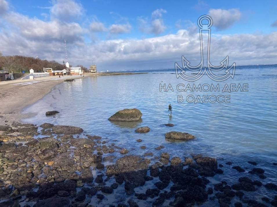 По результатам экологического мониторинга 27–28 декабря По результатам экологического мониторинга 27–28 декабря