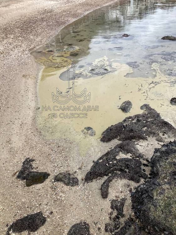 По результатам экологического мониторинга 27–28 декабря По результатам экологического мониторинга 27–28 декабря