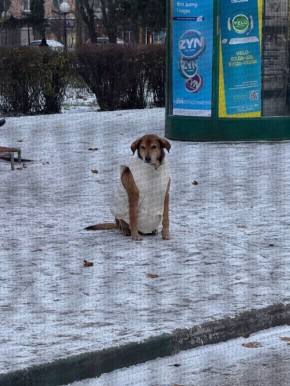 � ������ ���������� ����� ������� �������