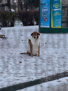 � ������ ���������� ����� ������� �������