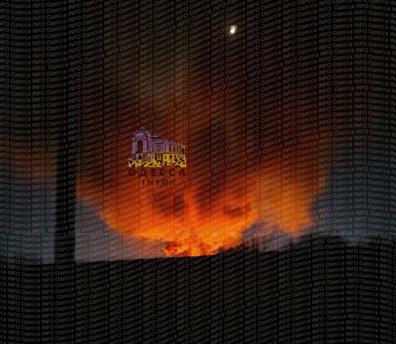 Прилёты гераней в Одессе пришлись по Новой почте Прилёты гераней в Одессе пришлись по Новой почте