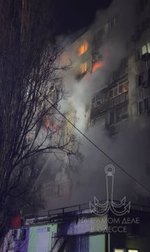 ������ �� ���� �� 31 ������� 2025 ���� � ������ � �������: