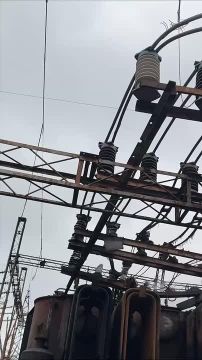 ��� ������ �������� ����������, ������������ � ������ � ���� �� 31 �������, � ����