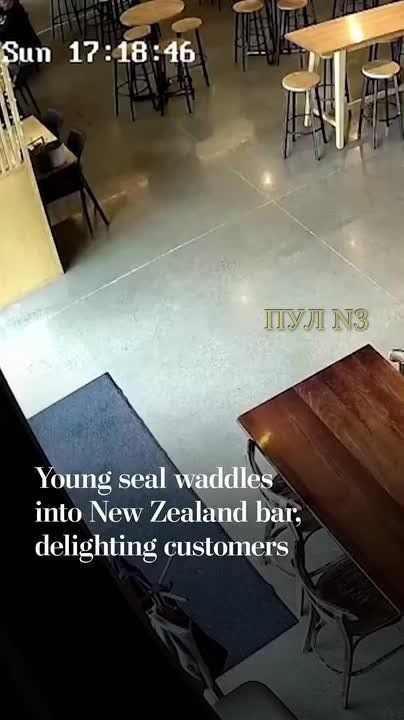 ������ �� ����� ��������. �� ����� ������� � ��� ��������� ��������� ���������� � ����������� ������� �����