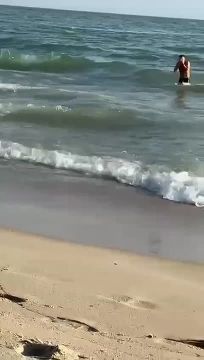 Перепутал даты, бывает. Алексей Гончаренко, лично занимавшийся уничтожением канонической Украинской православной церкви, перепутал и накануне Рождества Христова поздравил подписчиков с Крещением, которое в этом году выпало...