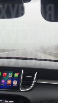 Плотный туман накрыл Одессу