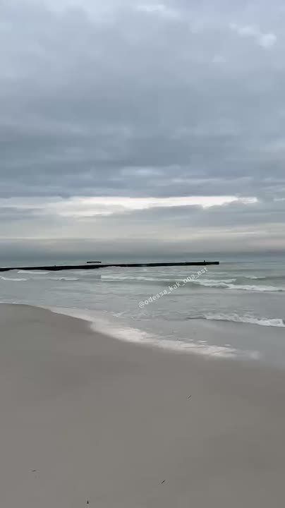 �������� ����� �� ������� ���� �����