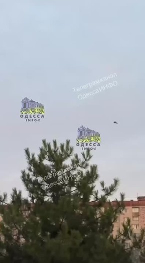 Герани в Одессе летают по своим делам