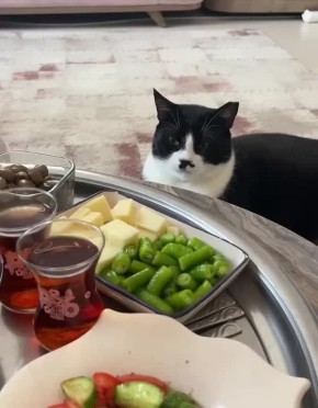 Доброе утро, одесситы!. Температура: минимальная температура сегодня составит -2 градуса, максимальная — +1 градус