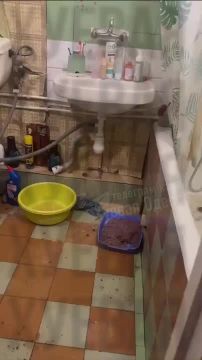 � ������ ������ �������� �� ������ �� ��������