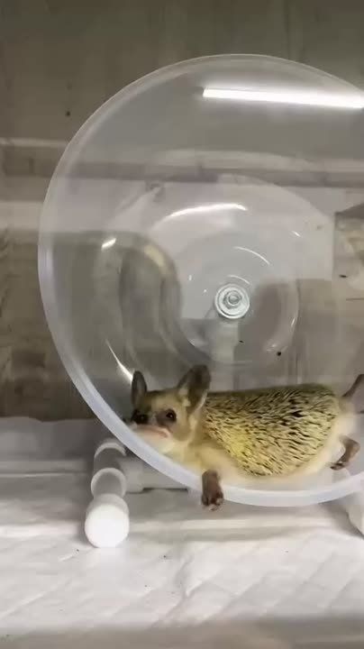 ������ ����, ������!. �����������: ����������� ����������� �������� -7 ��������, � ������� ��� ������ ���������� �� -6. ��������� ����� ��� -14 ��������