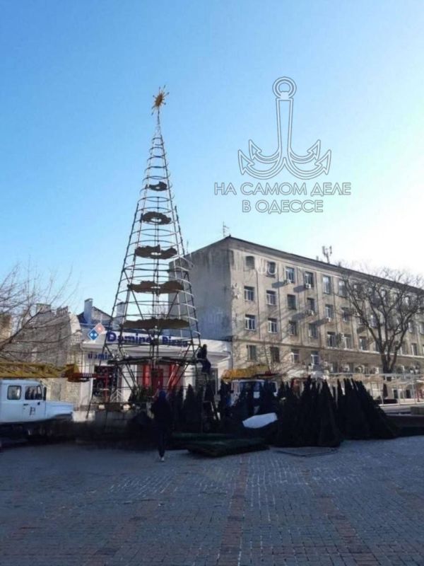 Да-да, вы не ослышались!. На Греческой площади таки убрали новогоднюю ёлку! И вовремя, почти по графику! Видно, кто-то вспомнил, что после Старого Нового года ёлке на площади положено ехать на заслуженный отдых, а не стоять...