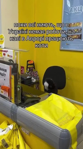 � ������ ����� ��������� �������� ��������