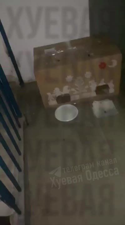 � �������� �� ������ ������ ������� �� 10 ����� ����