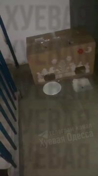 � �������� �� ������ ������ ������� �� 10 ����� ����