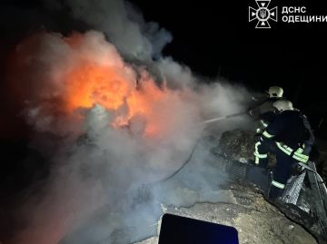 ������ ��� �����: ���� �� ���������� � ������� ��������