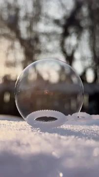 �������, ����� ������ ����� ������� �� ������