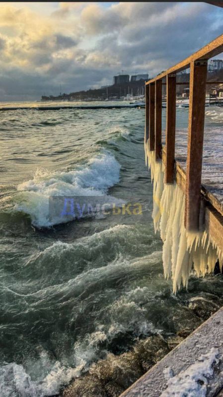 Берег Одессы превратился в ледяную сказку Берег Одессы превратился в ледяную сказку