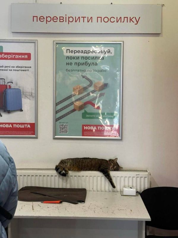 ��� �������� ���� �������� ������ � ������