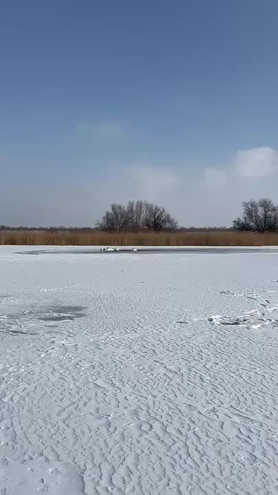 ����� ������� ������ �� ����� � �������� �������